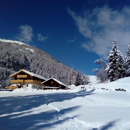 Bed & Breakfast Dolomiti Bey Haus Pinter Assling 외부 사진