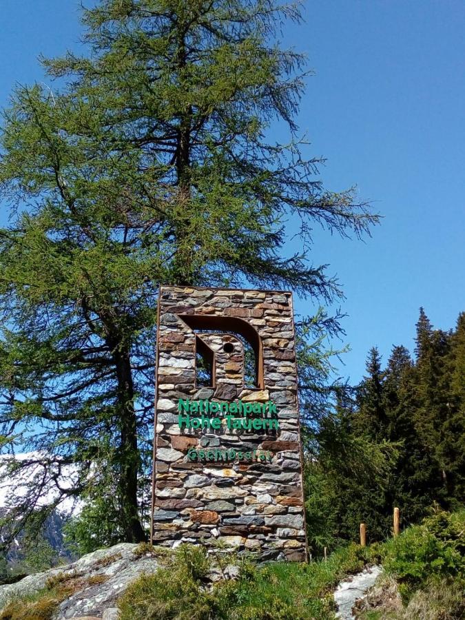 Bed & Breakfast Dolomiti Bey Haus Pinter Assling 외부 사진