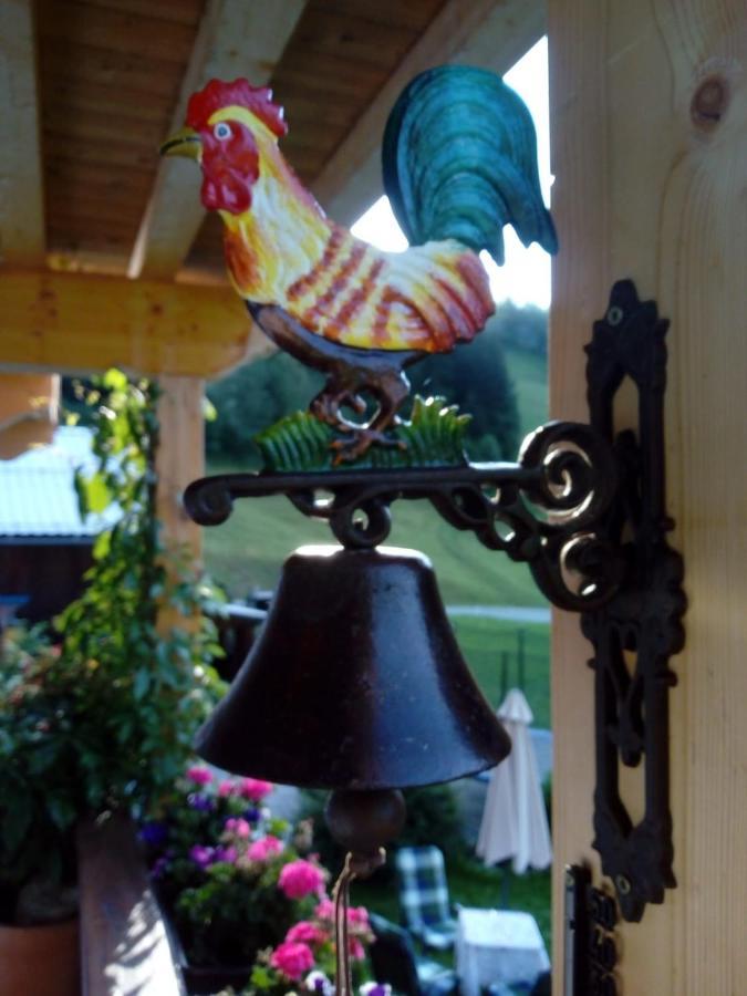Bed & Breakfast Dolomiti Bey Haus Pinter Assling 외부 사진