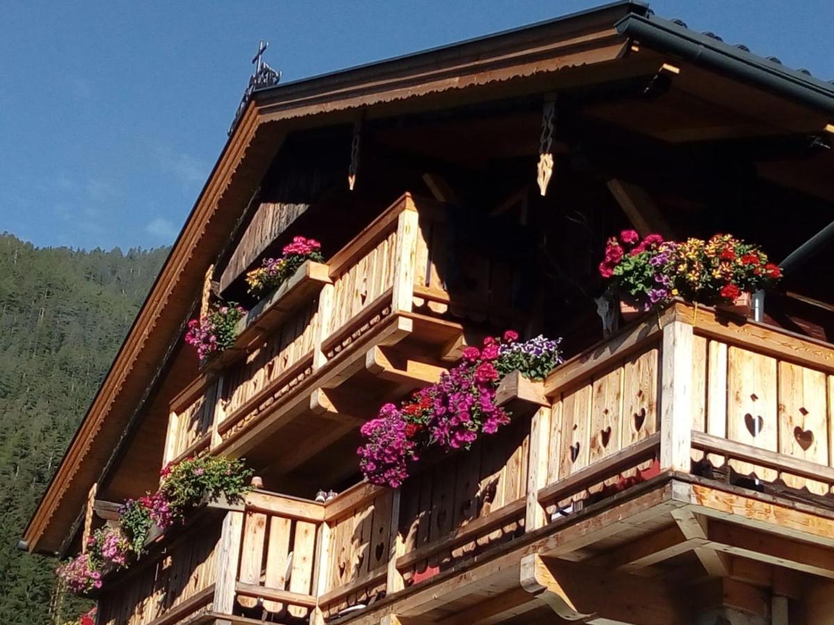 Bed & Breakfast Dolomiti Bey Haus Pinter Assling 외부 사진