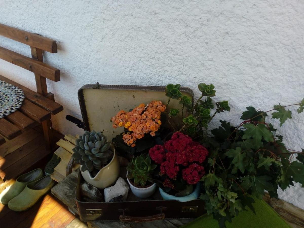 Bed & Breakfast Dolomiti Bey Haus Pinter Assling 외부 사진