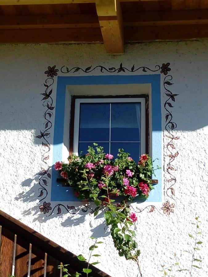 Bed & Breakfast Dolomiti Bey Haus Pinter Assling 외부 사진