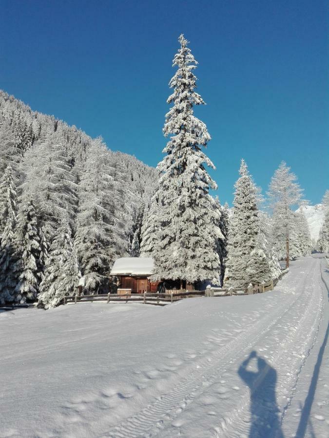 Bed & Breakfast Dolomiti Bey Haus Pinter Assling 외부 사진