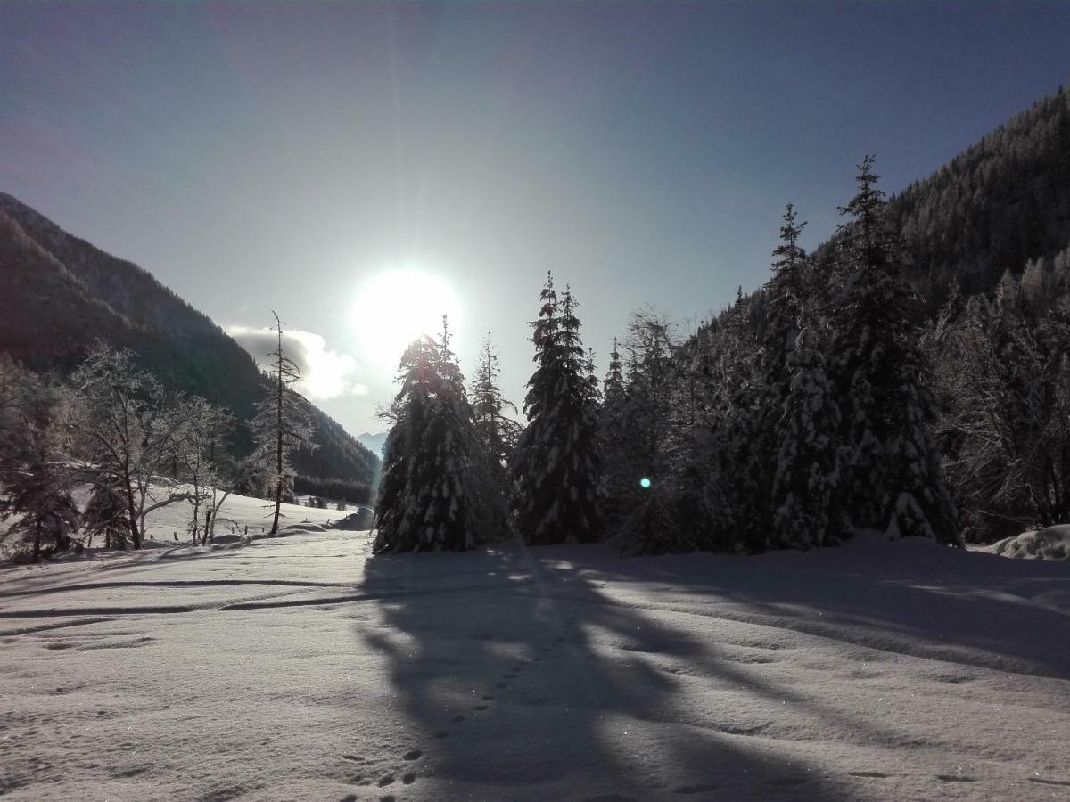 Bed & Breakfast Dolomiti Bey Haus Pinter Assling 외부 사진