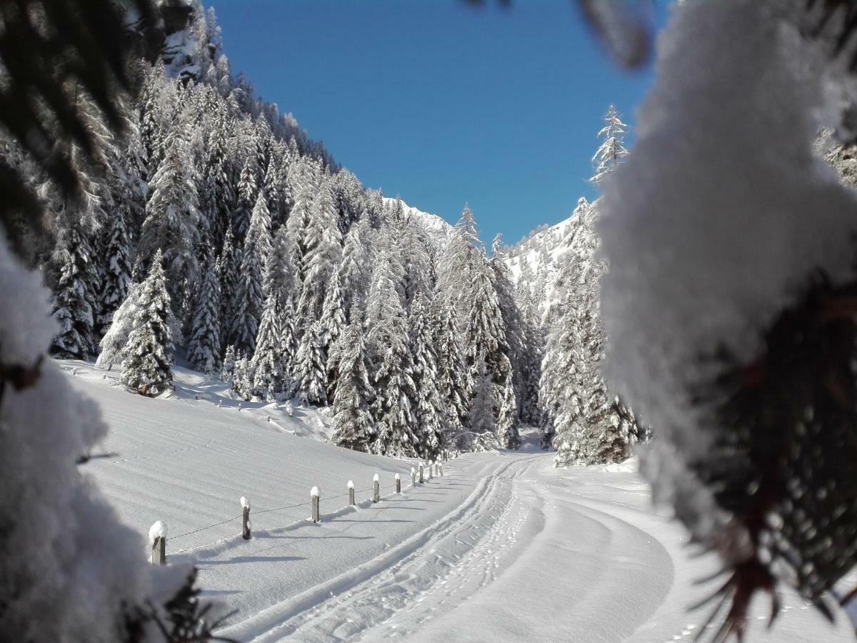 Bed & Breakfast Dolomiti Bey Haus Pinter Assling 외부 사진